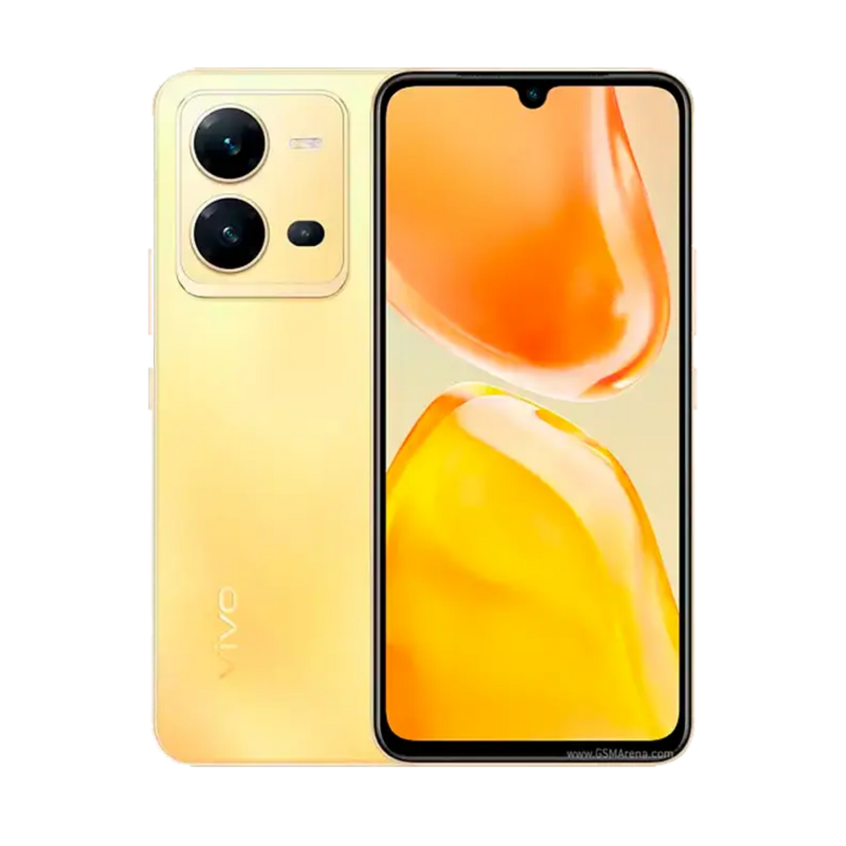 Vivo V25