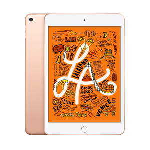 iPad Mini 5 5ta Gen
